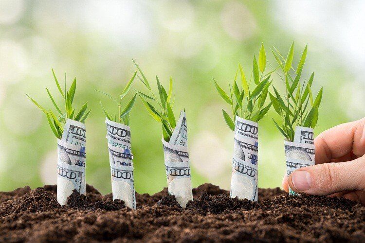 13 ý tưởng khởi nghiệp làm giàu từ nông nghiệp rất thành công